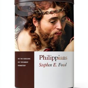 Eerdmans Two Horizons New Testament Commentary – Romans Kindle Edition-0