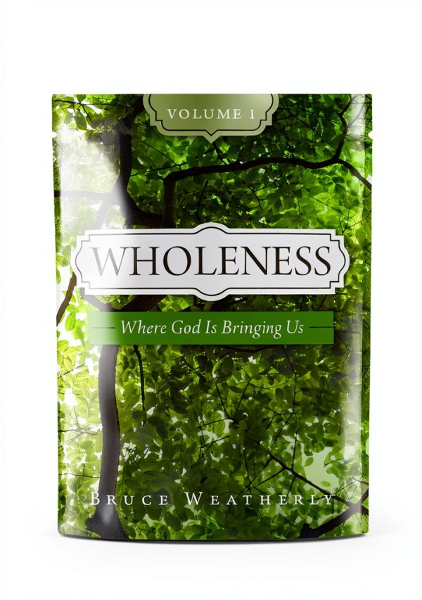 Spiritual Growth Journal Brookstone Kindle eBook Wholeness Book 1-0